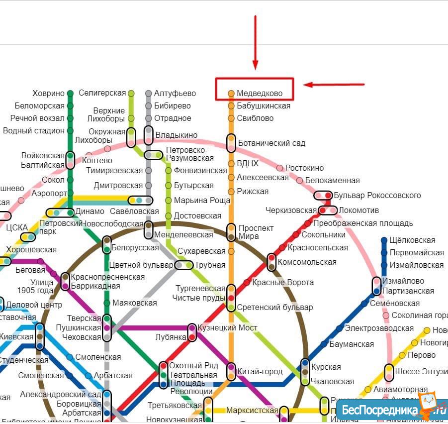 Фото на документы медведково метро